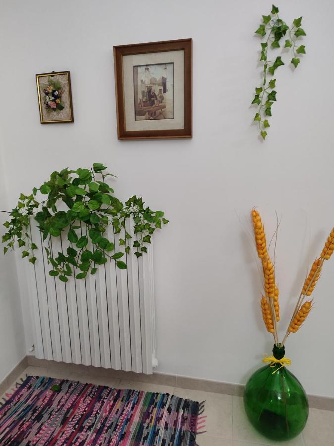 B&B Aquila Αλμπερομπέλο Εξωτερικό φωτογραφία