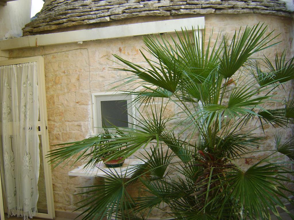 B&B Aquila Αλμπερομπέλο Δωμάτιο φωτογραφία